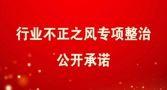 行业不正之风专项整治公开承诺